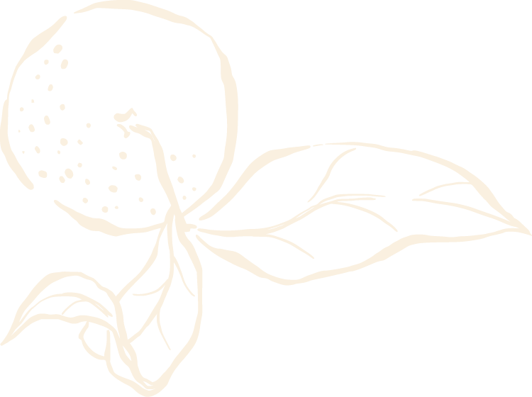 Silhouette of an orange with leaves on a black background.