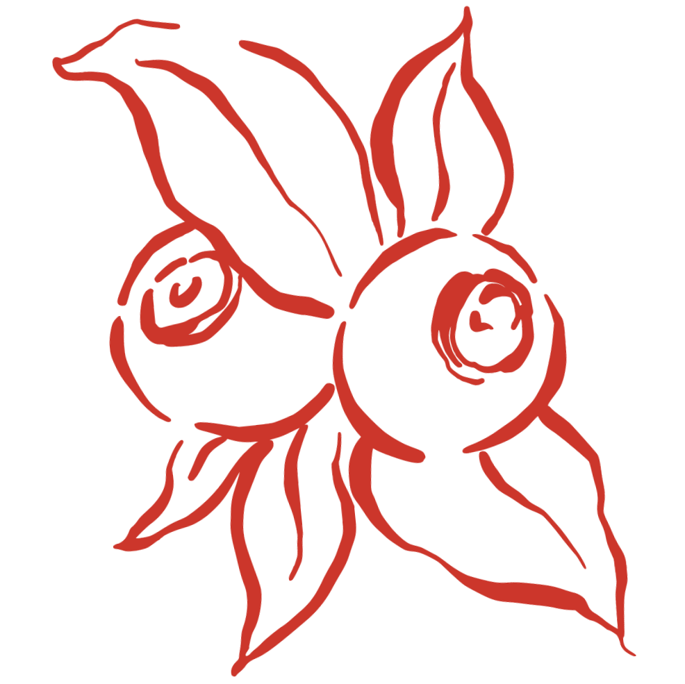 A simple line drawing of blueberries on a branch with leaves, colored in dark red.