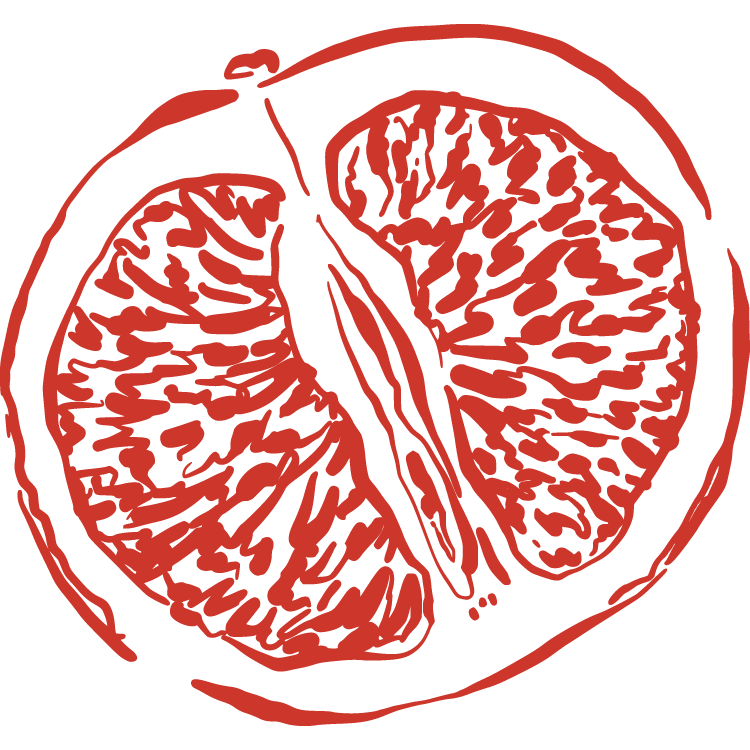 A stylized drawing of a halved lemon or orange in a simplified, illustrative style.