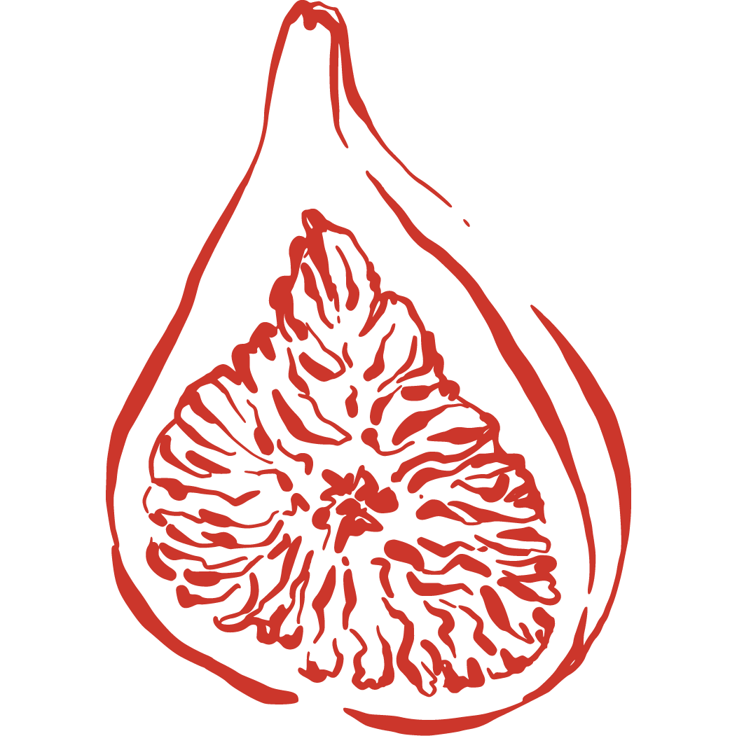Line drawing of a fig fruit with a segment showing the interior details