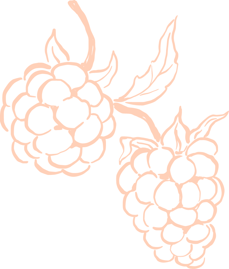 Two cluster of raspberries with leaves on a black background, outlined in pink.