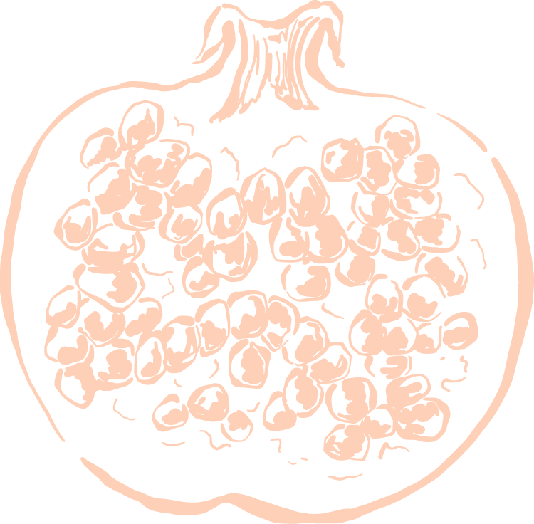 Line drawing of a pomegranate with seeds visible inside.