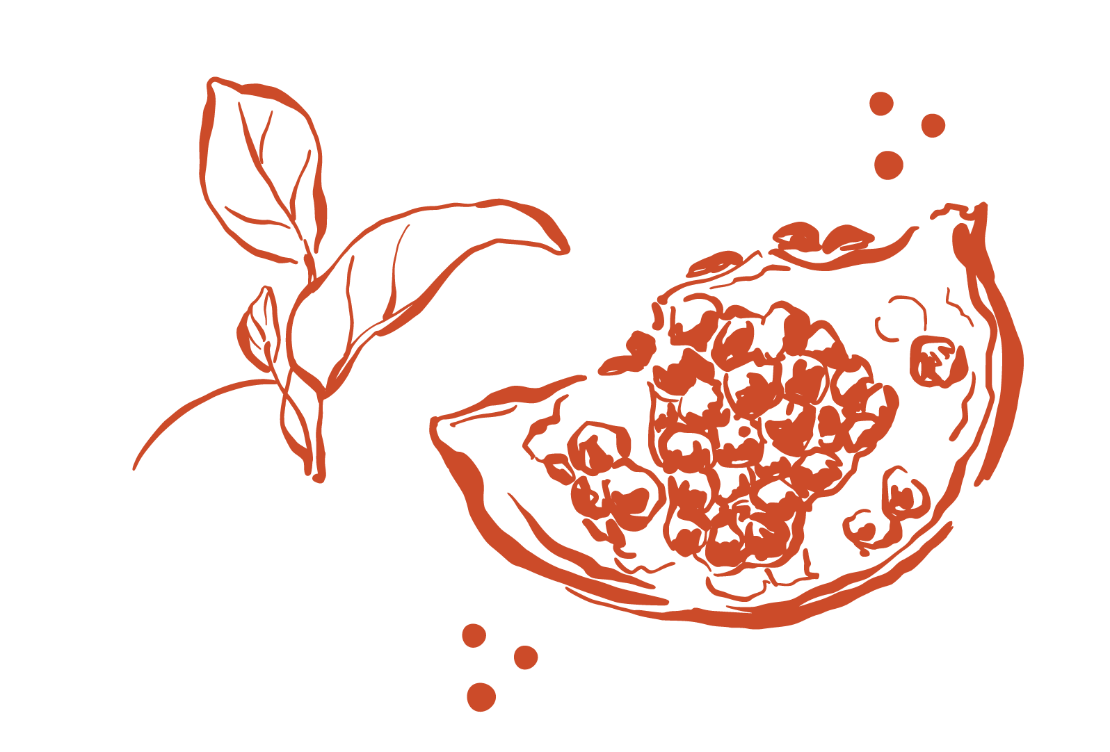 Illustration of a pomegranate fruit with some leaves and seeds inside, in a minimalist outline style with orange lines.