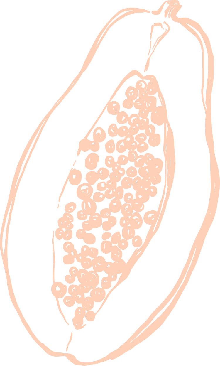 Illustration of a split-open papaya revealing its many seeds inside.