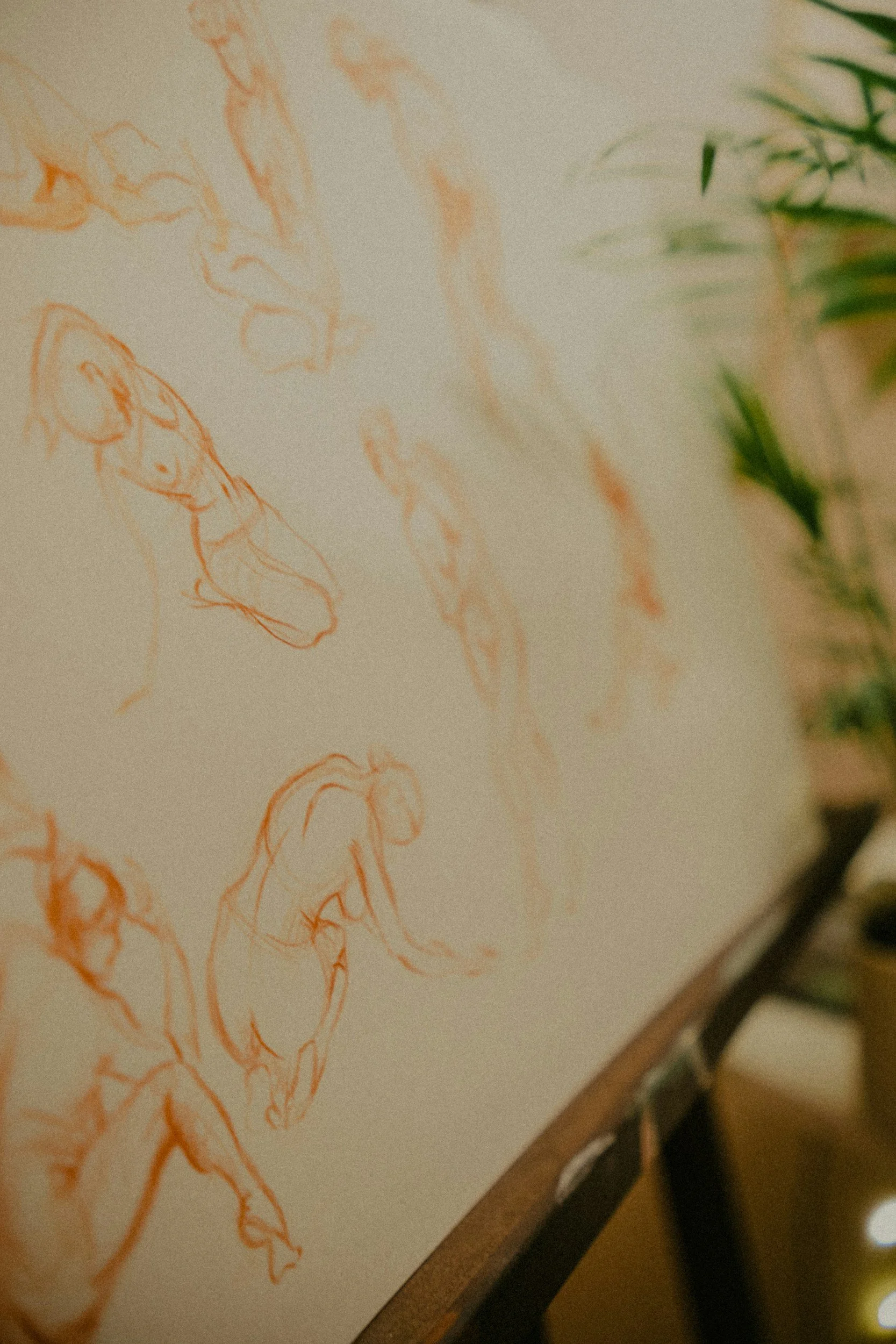 Sketches of horses on a piece of paper, with a plant and a pen visible nearby.
