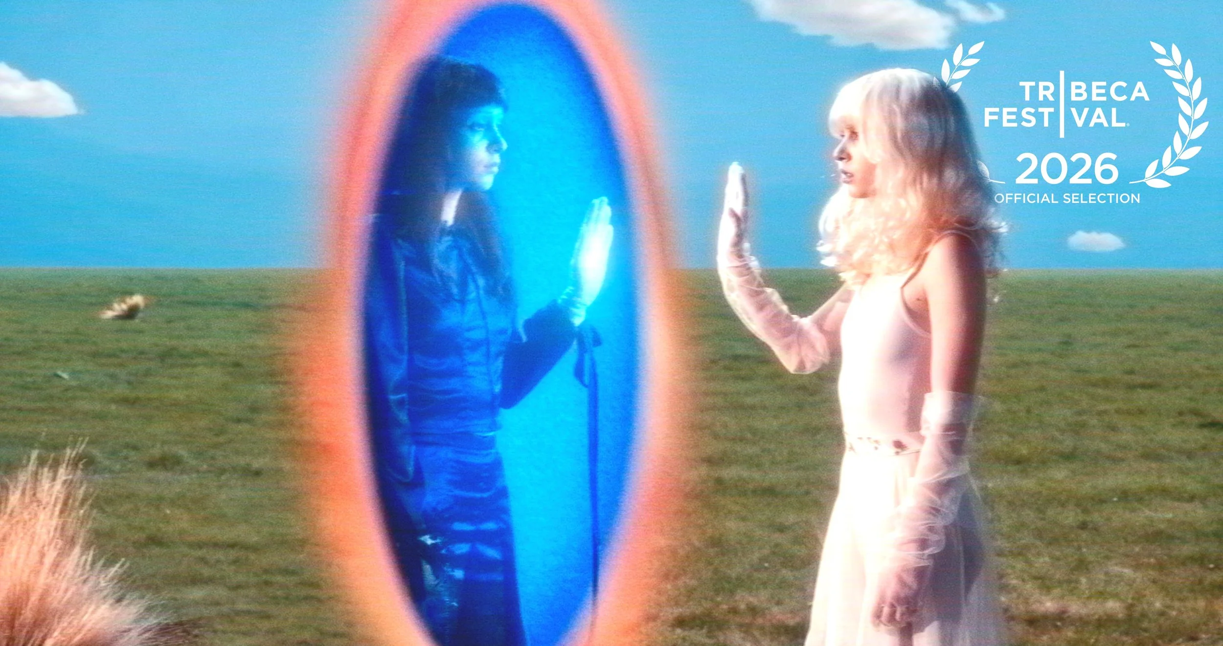 IMAGINAL DISK (feature)