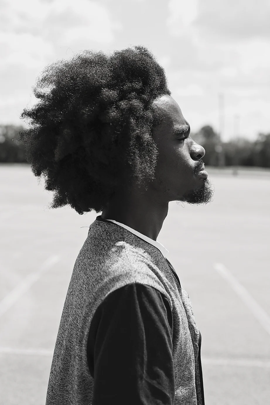 "Rasta Lion" | Metal Print