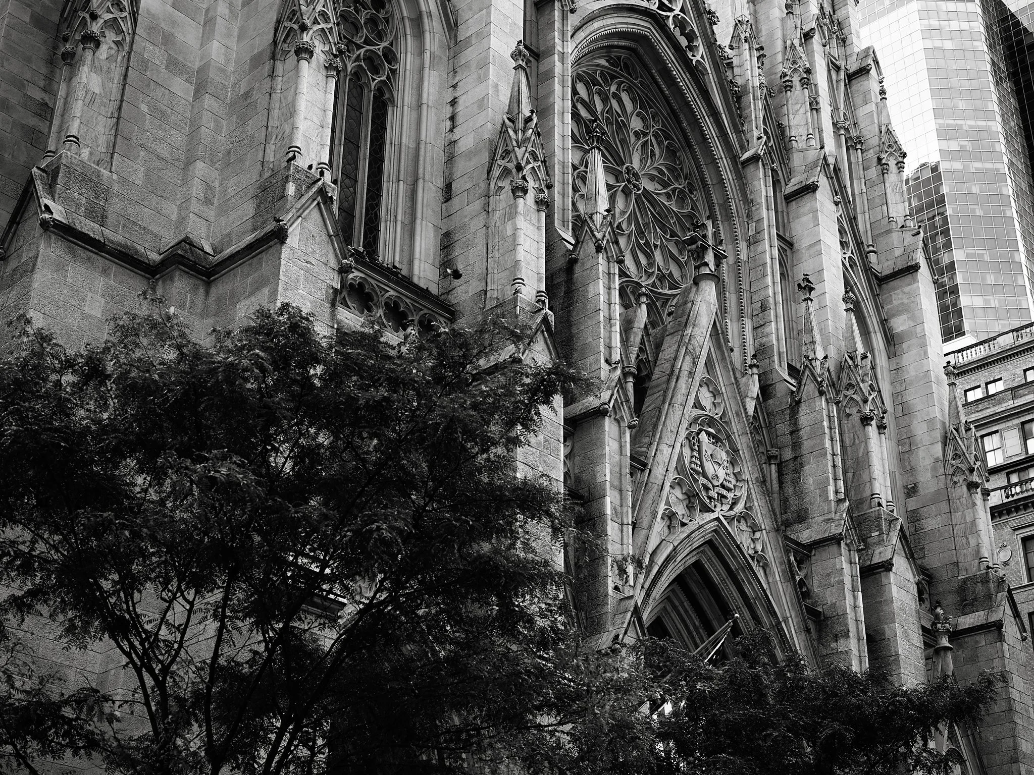 B0000084.jpg