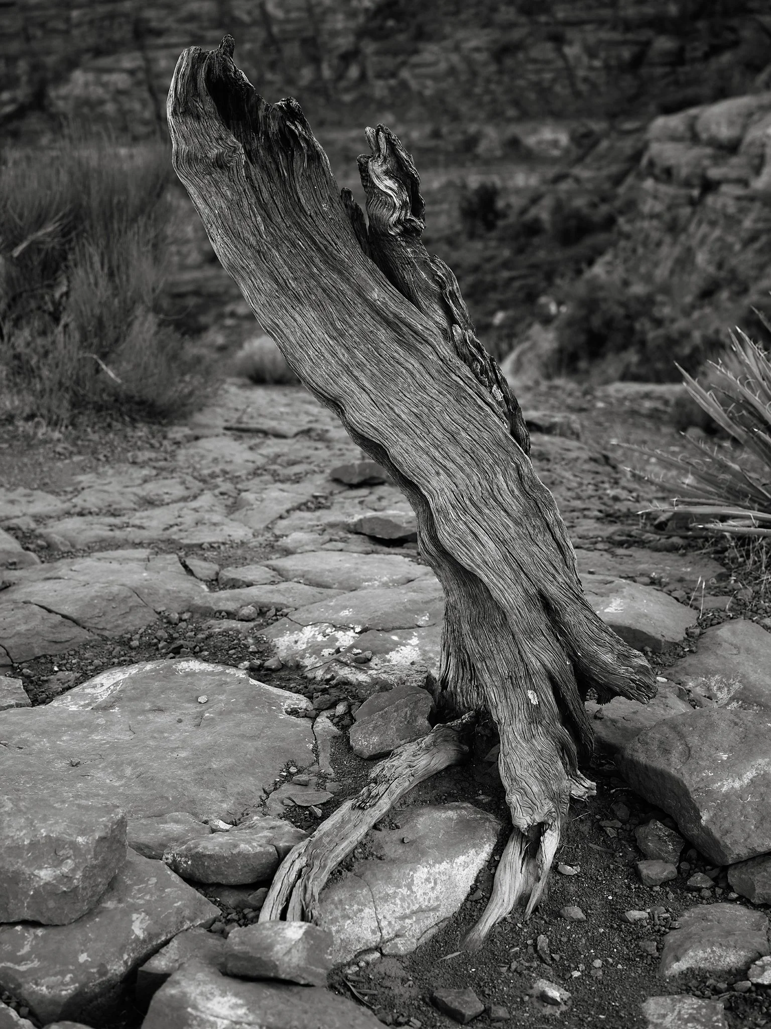 B0004333.jpg