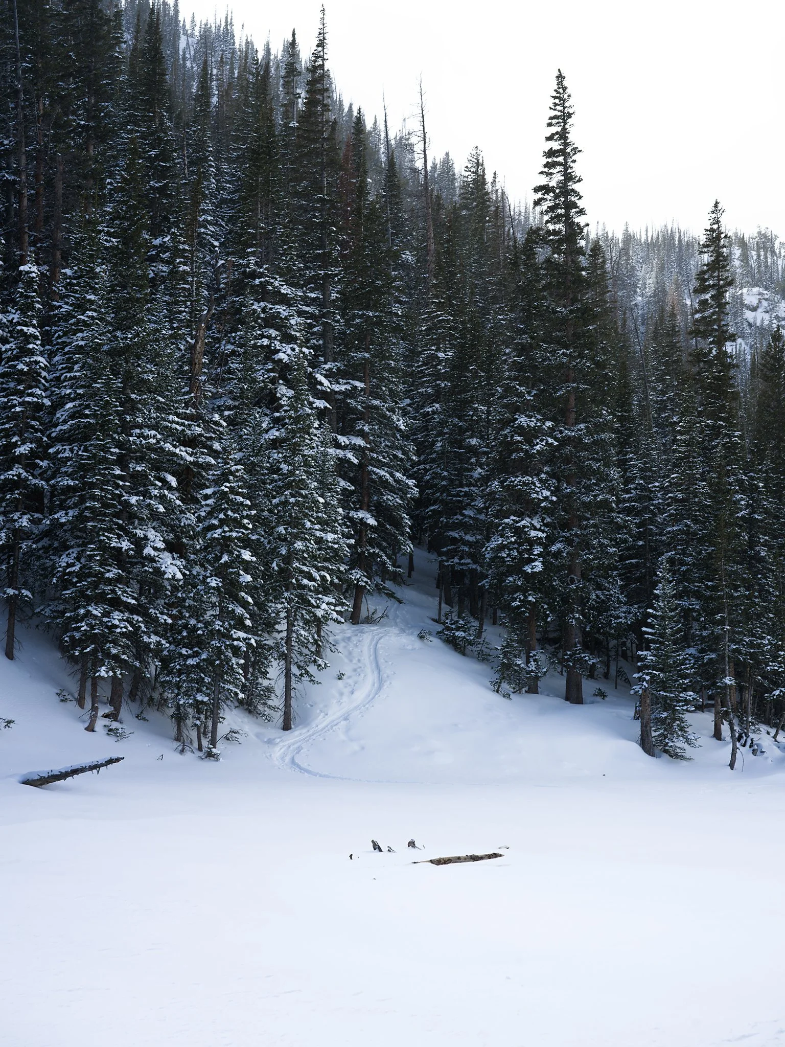 B0023983.jpg