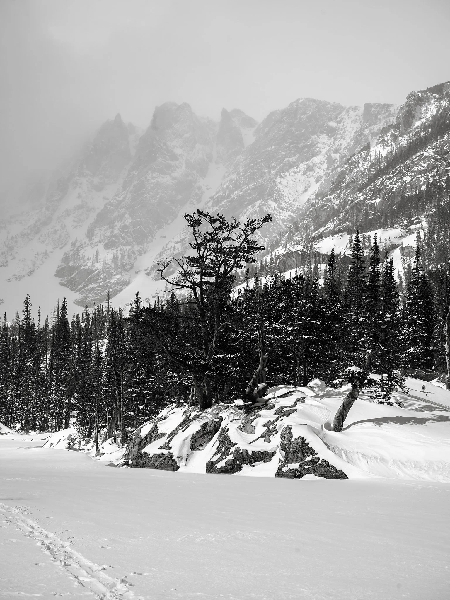 B0023984.jpg