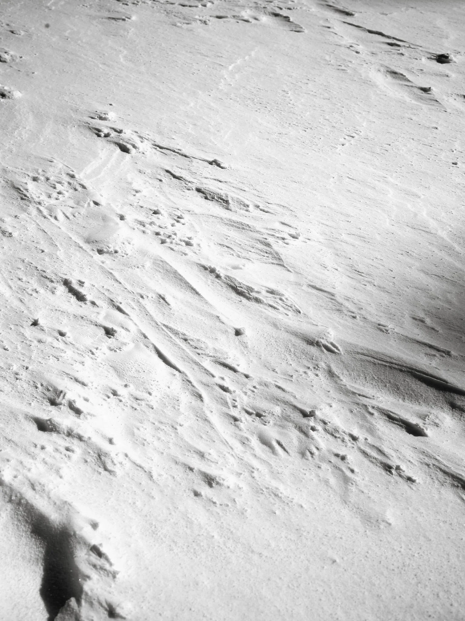 B0023988.jpg