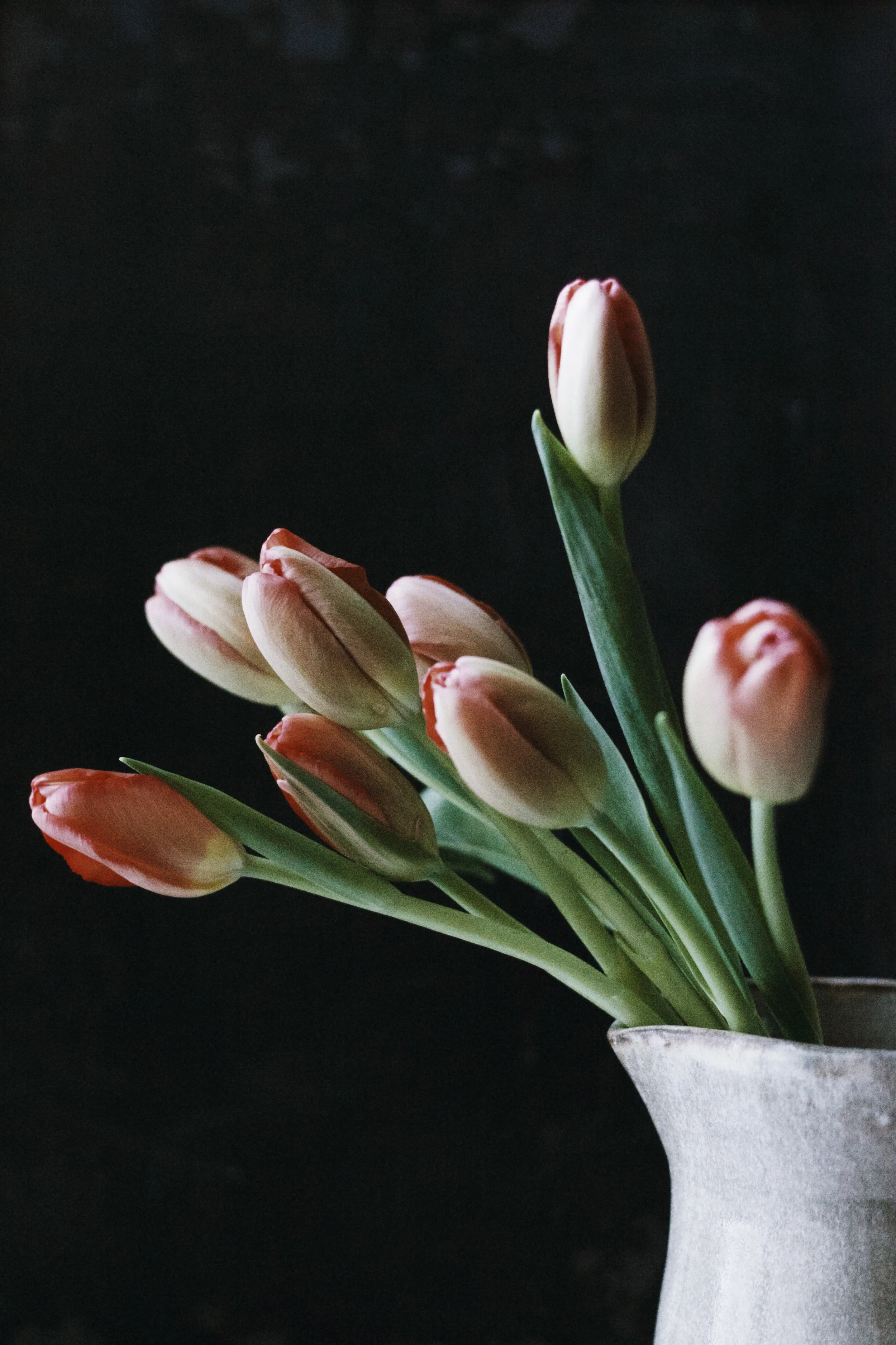 More tulips because they are breathtaking. 
