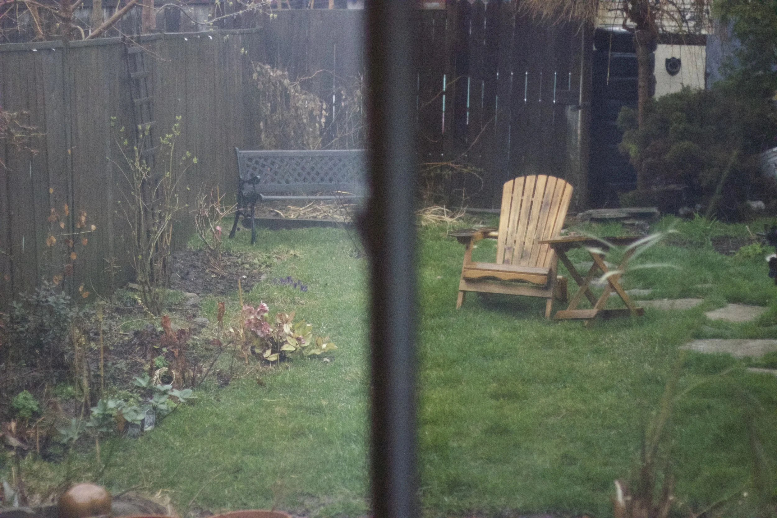 a rainy day in April when the garden just started to show signs of life