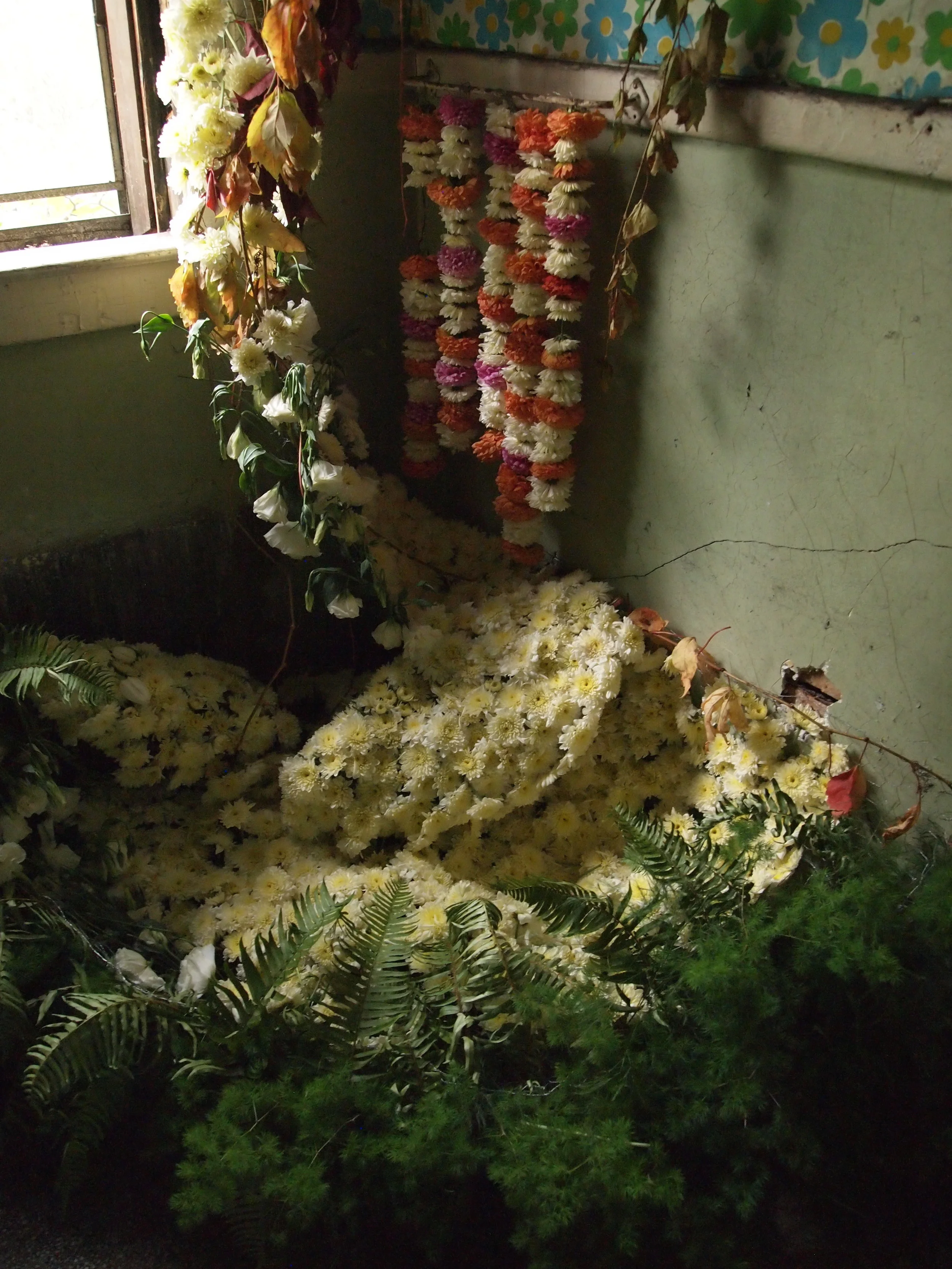 Thanks to my Marmy and Jessica from Sweet Gale Gardens for diligently placing hundreds of mums in the tub. 
