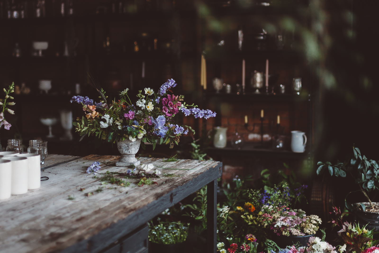 Images by Lauren Kolyn