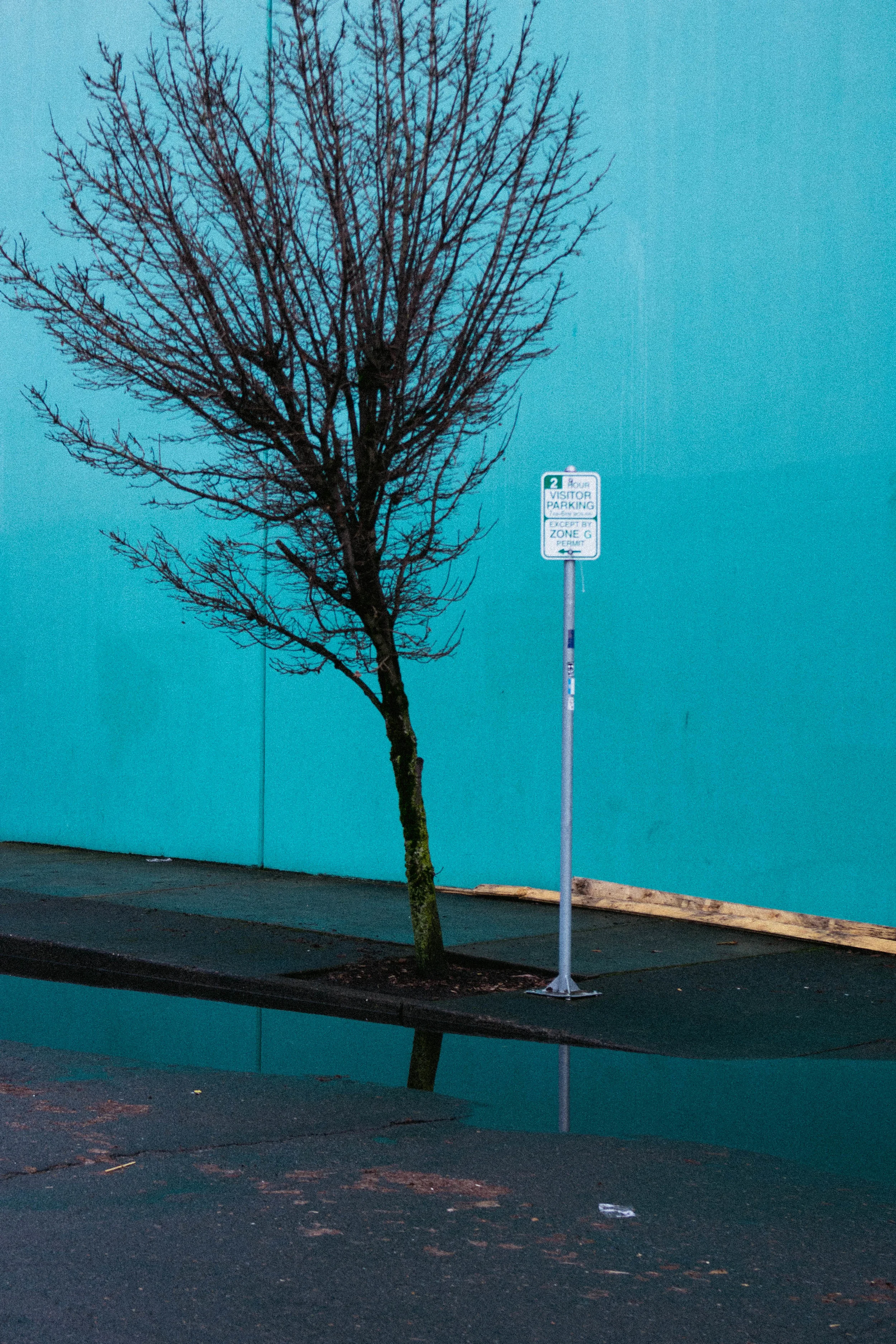 nothing-323.jpg