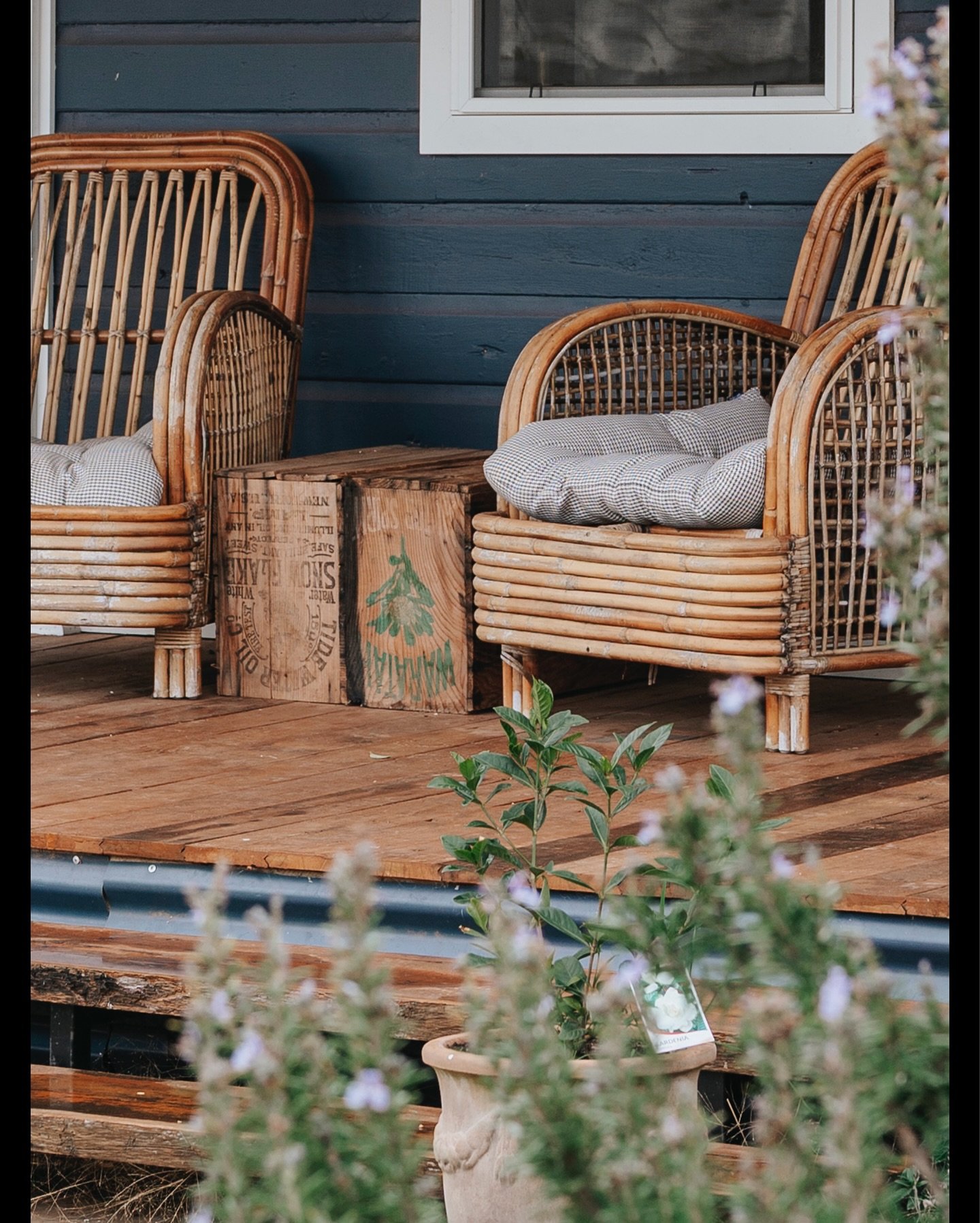 The Grenfell Quarters - the before!

Designs for this two room cottage on the farm started back in 2017 with the view to turn it into a one bedroom cottage that could be used for family visiting between farms for work.

We discovered a lot of things 