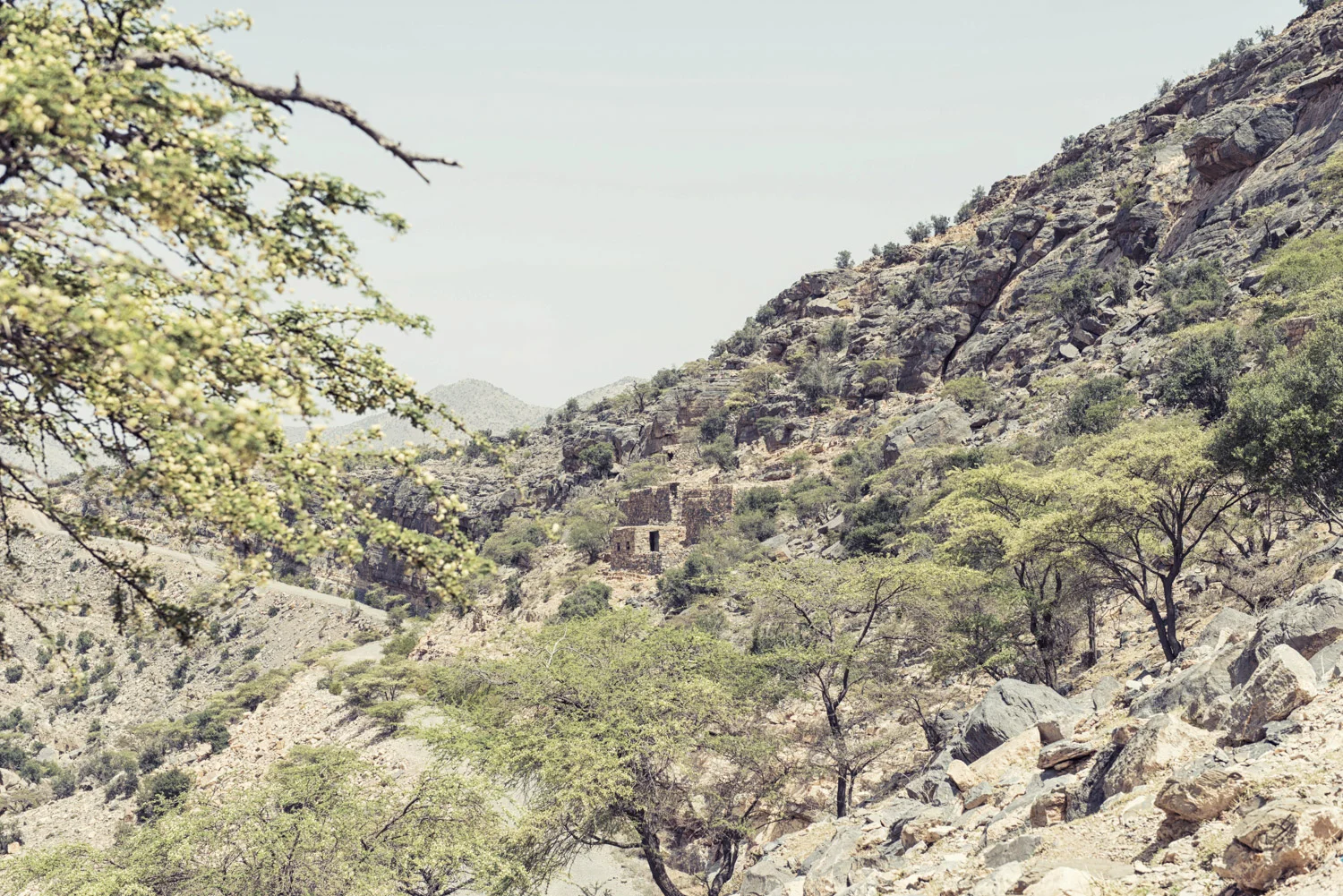 Oman_Jabal_Akhdar_OMA8038-Bearbeitet.jpg