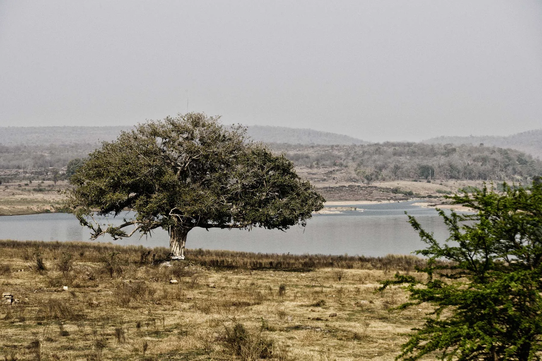 _IND1213-Bearbeitet.jpg