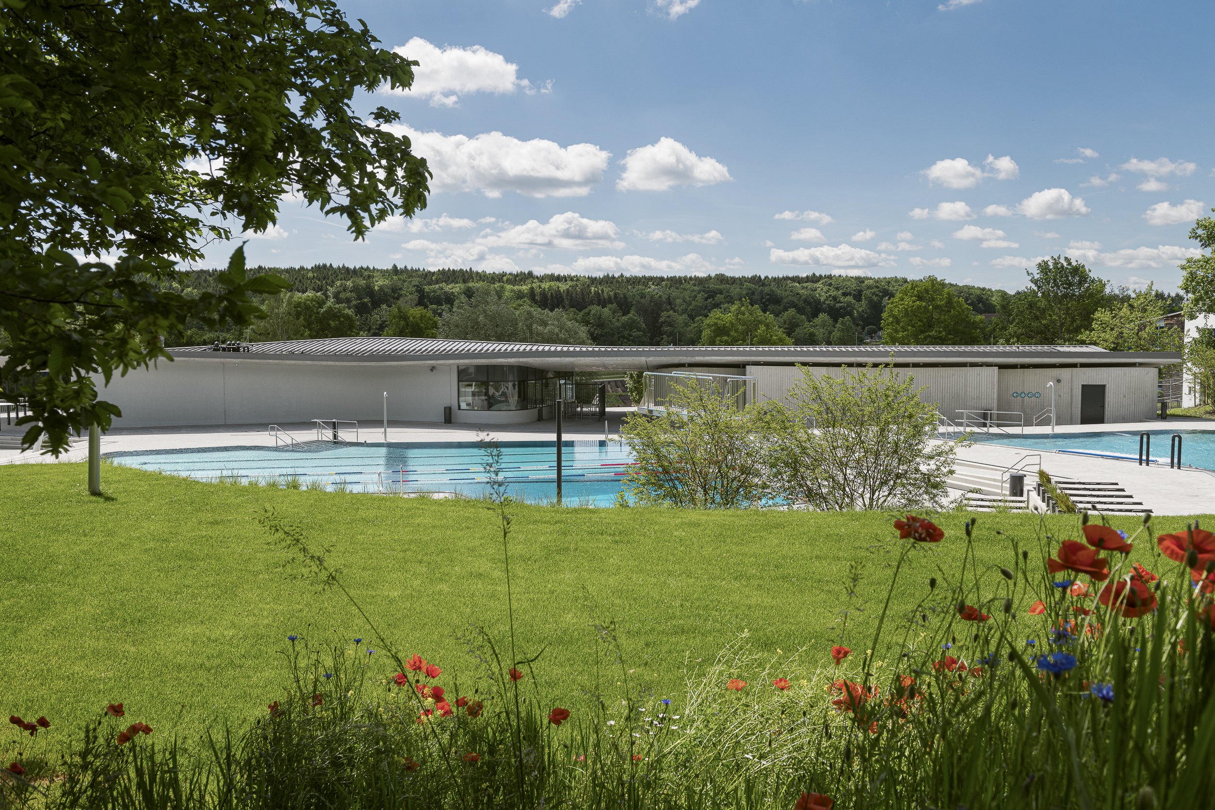 Sommerbad_Greifenberg-18.jpg