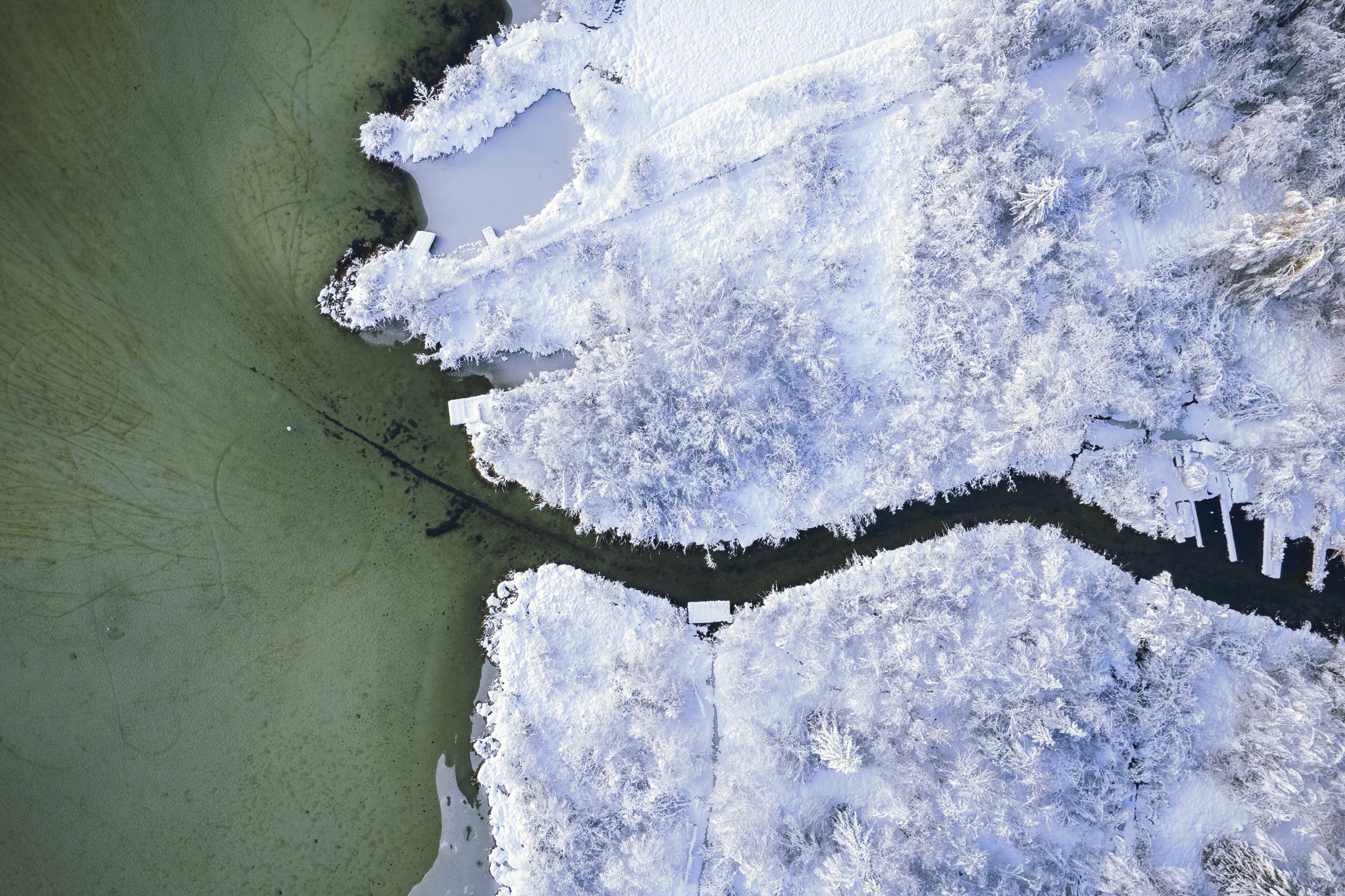 DJI_0555.jpg