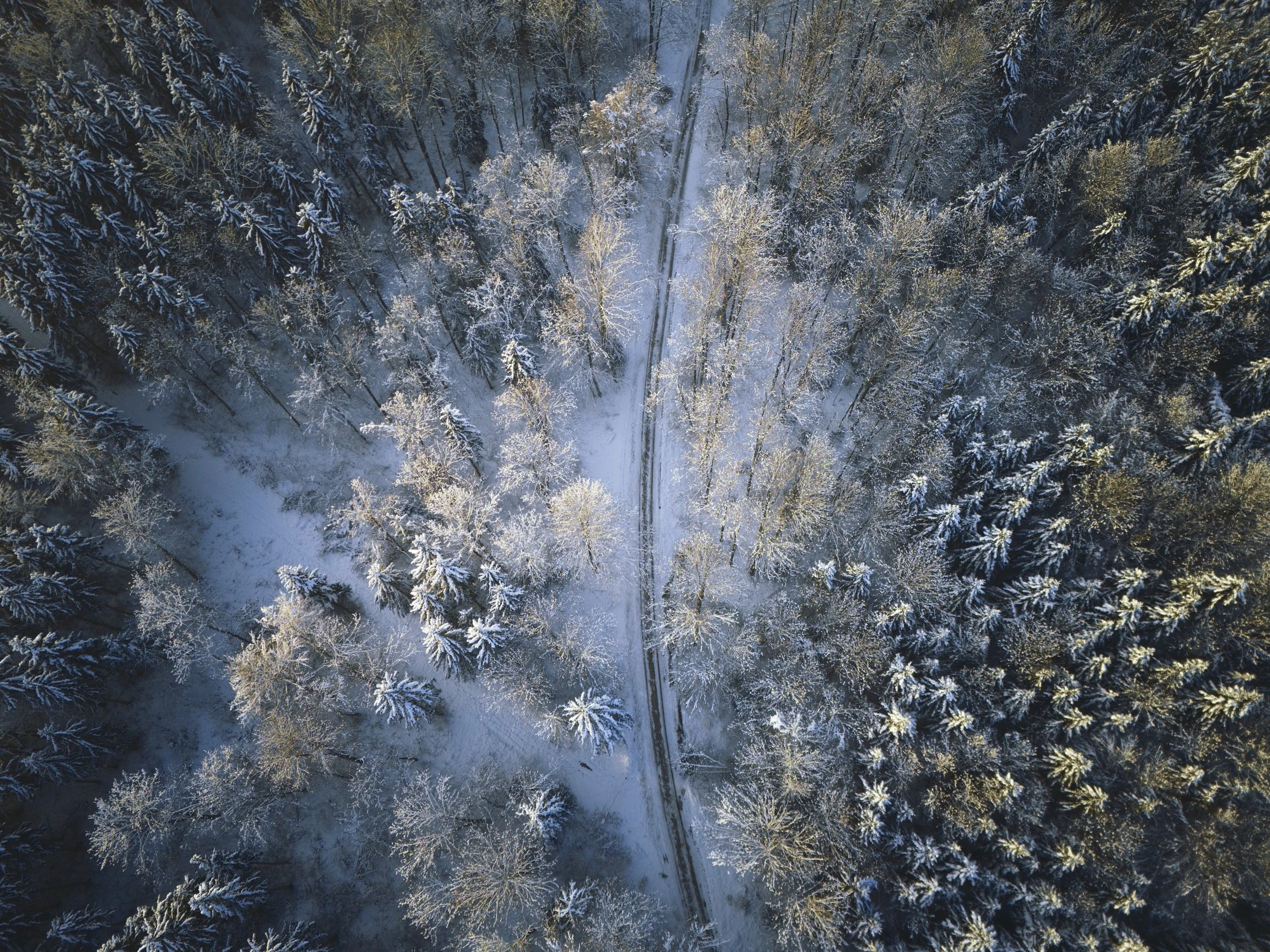 DJI_20240110090924_0024_D.jpg