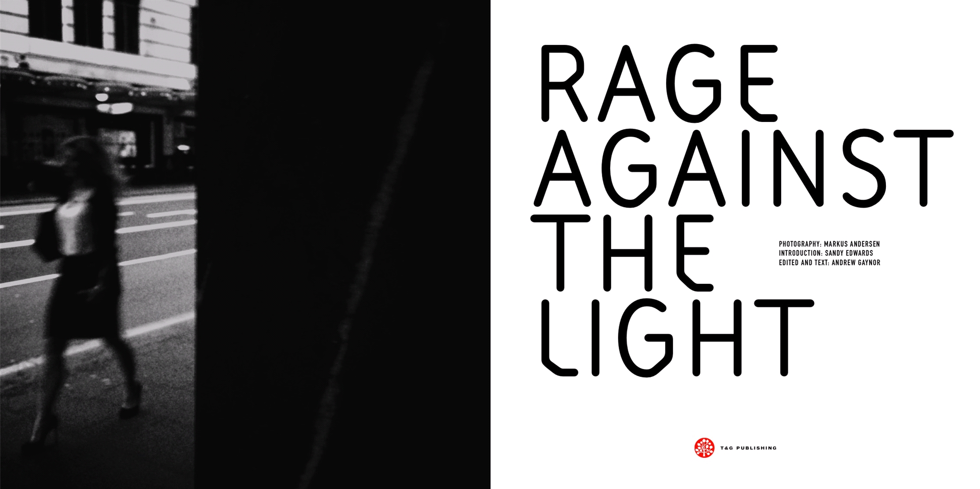 Rage Against The Light 