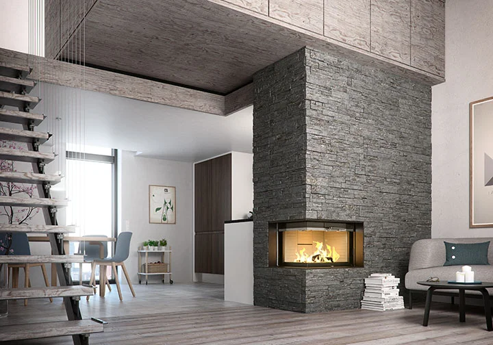 Visio 2 Insert Envirolution Stoves