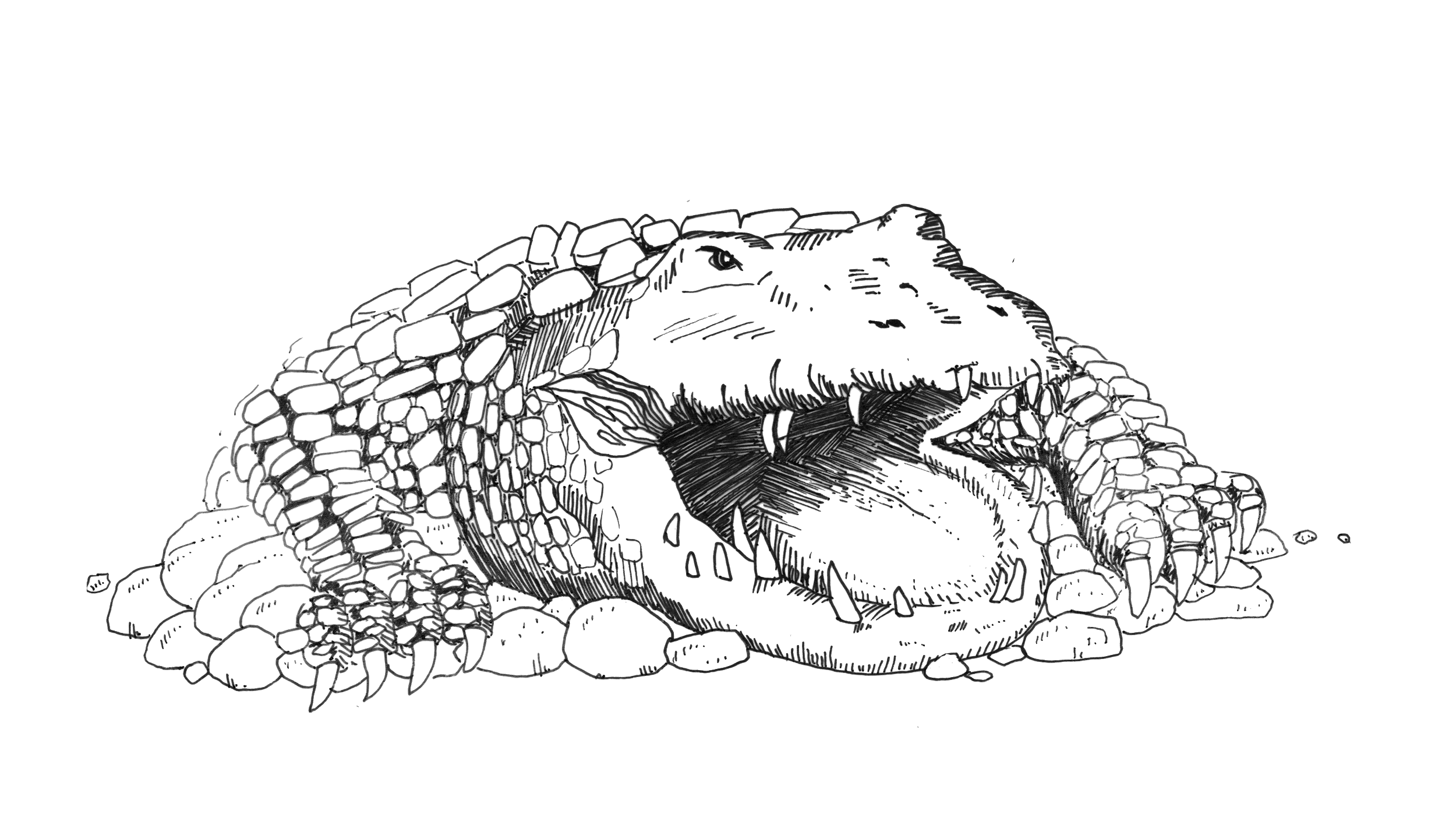 Croc.png