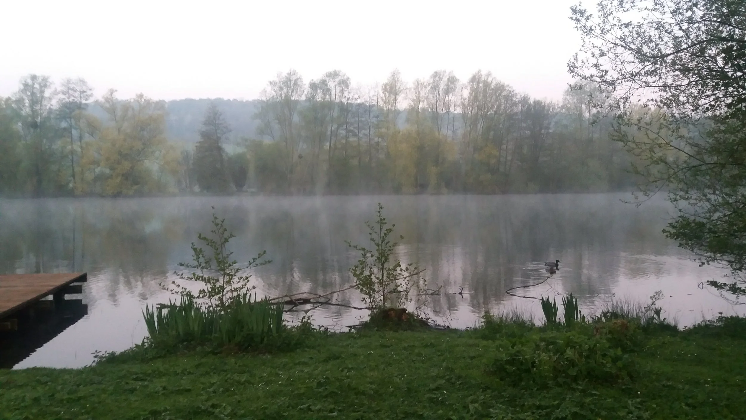 silence of dawn.jpg