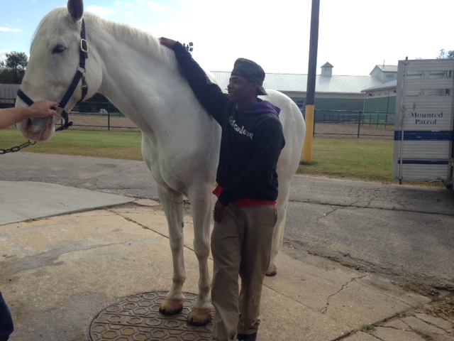 Sci Academy students visit the NOPD Mounted Unit stables in New Orleans City Park. 