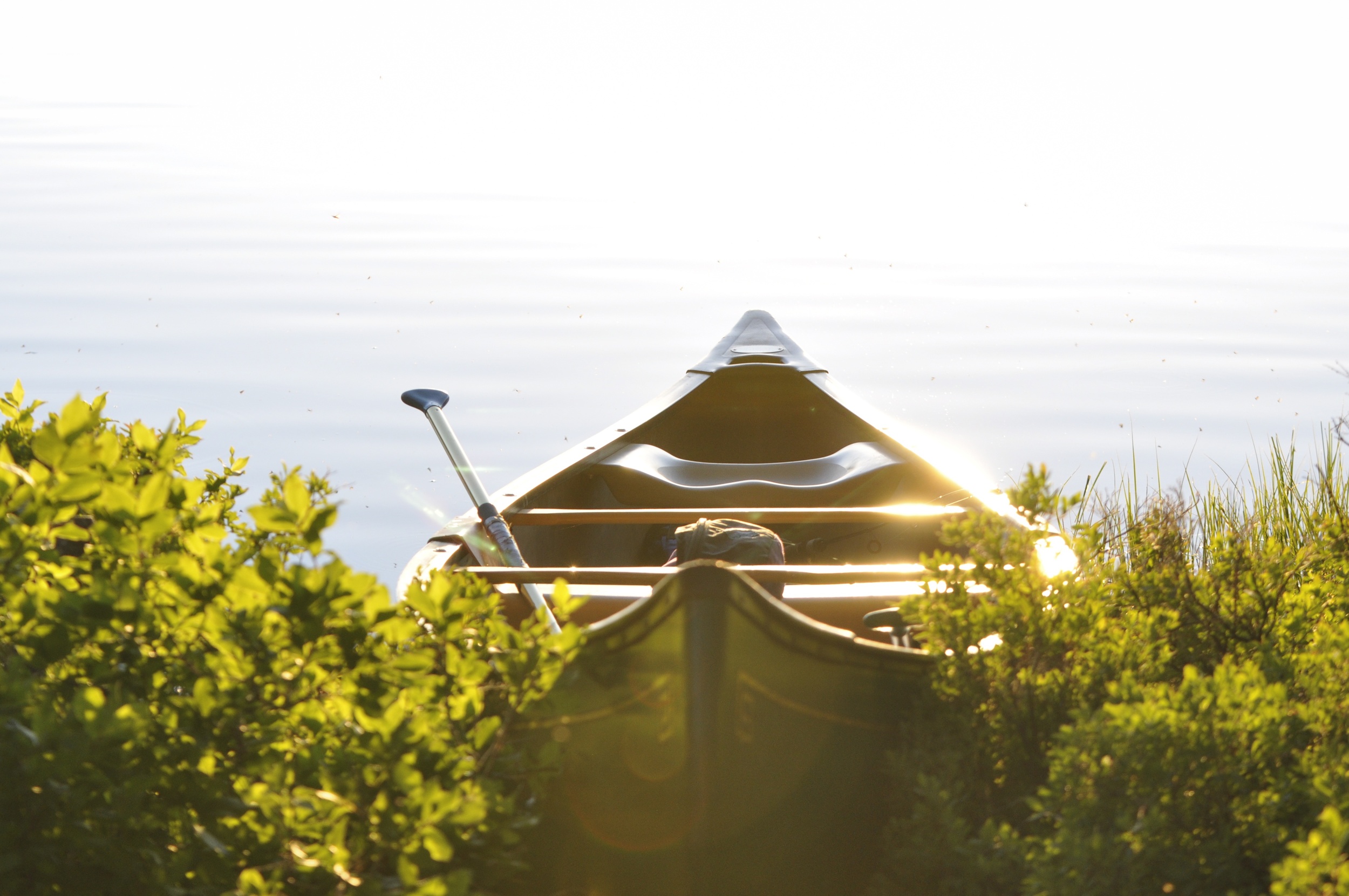 canoe1.jpg