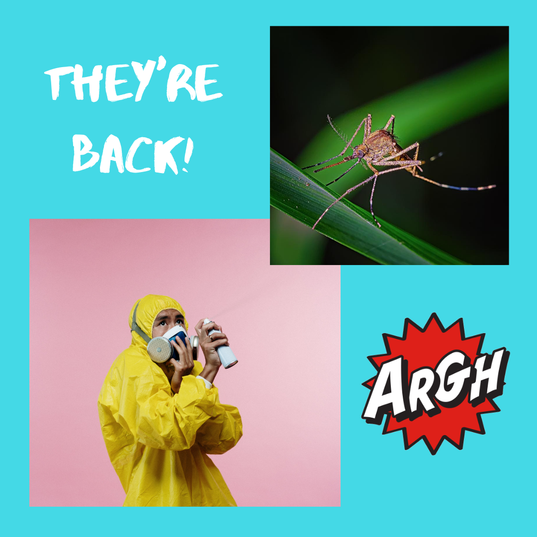Mosquitoes - Why can’t we just kill them all?!
