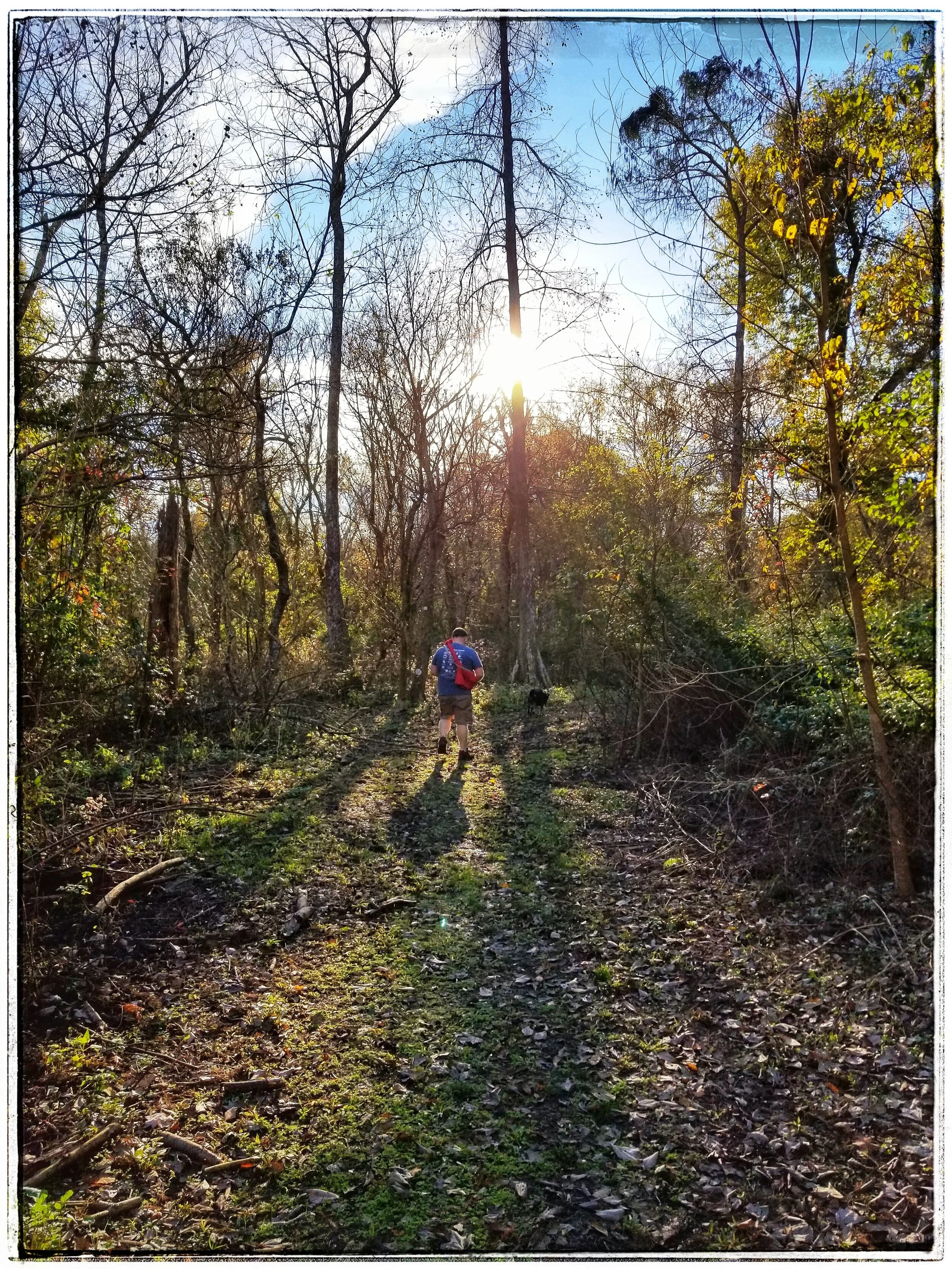 The Top 9 Hiking Trails Near New Orleans