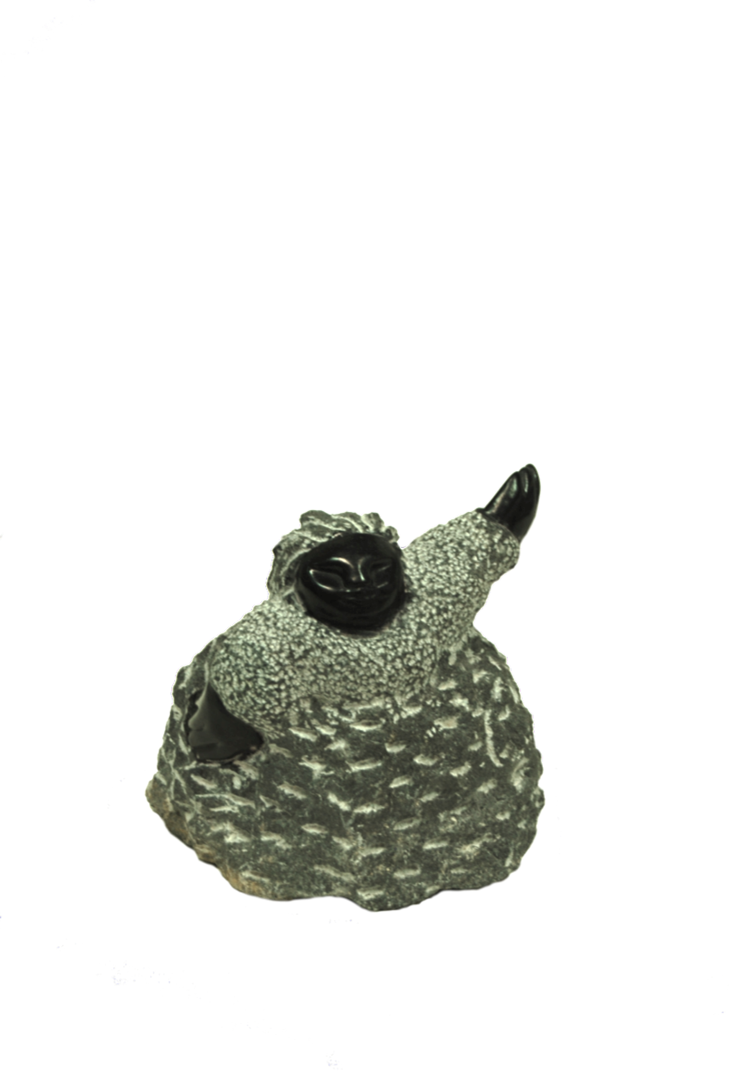 DP119 - CM.png