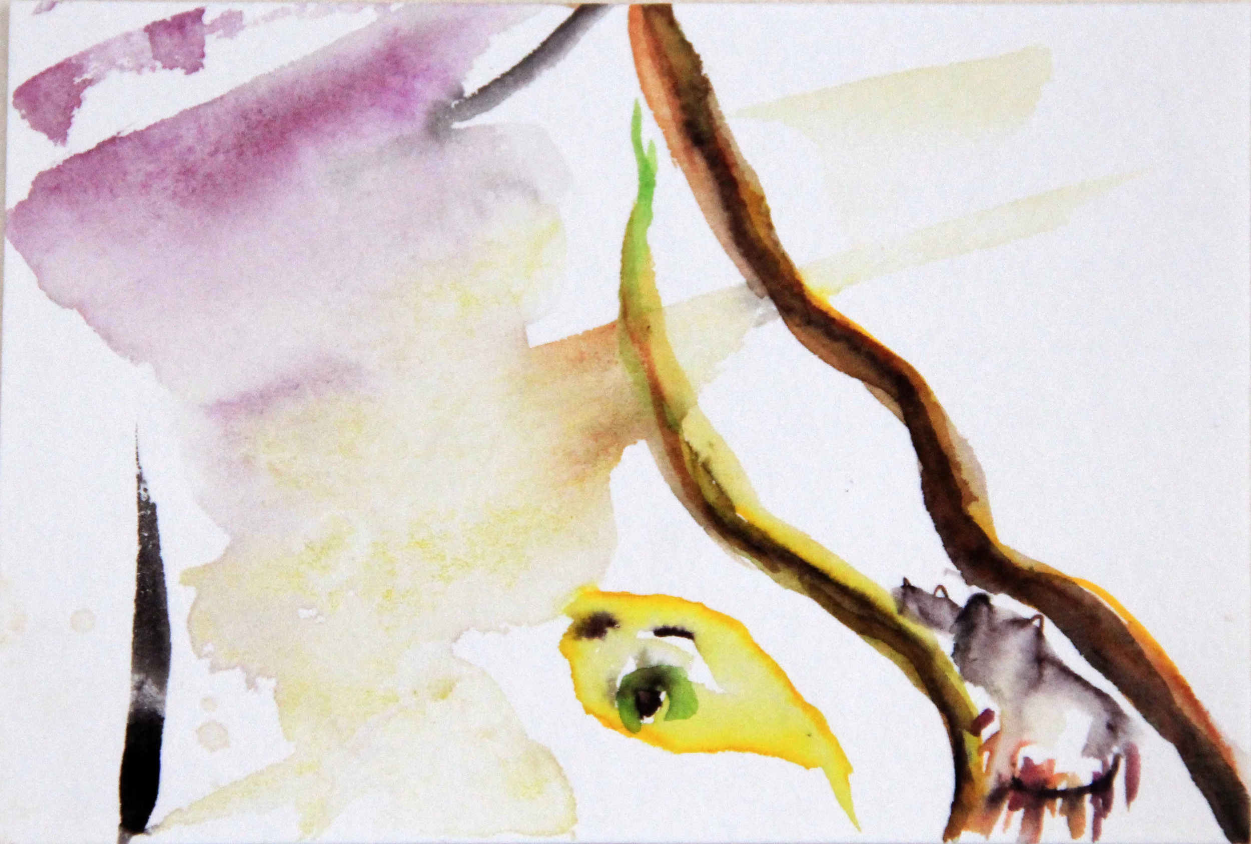 Mangroves_From_The_Water_41_Zahidah_Zeytoun_Showcase.jpg.jpg