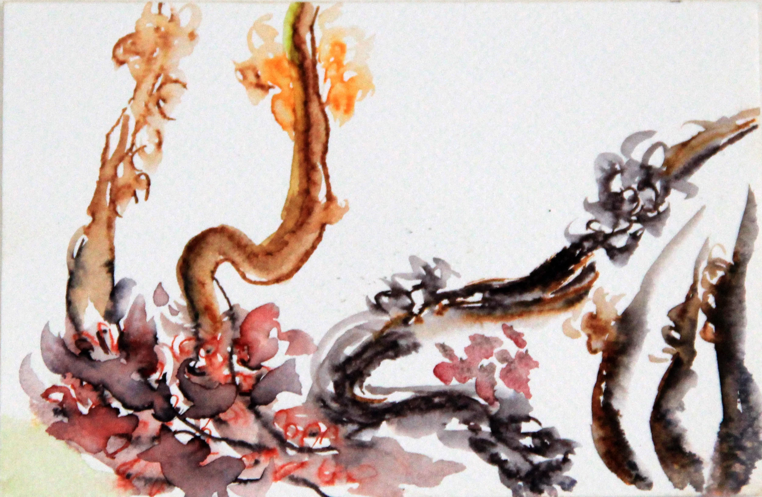 Mangroves_From_The_Water_44_Zahidah_Zeytoun_Showcase.jpg.jpg