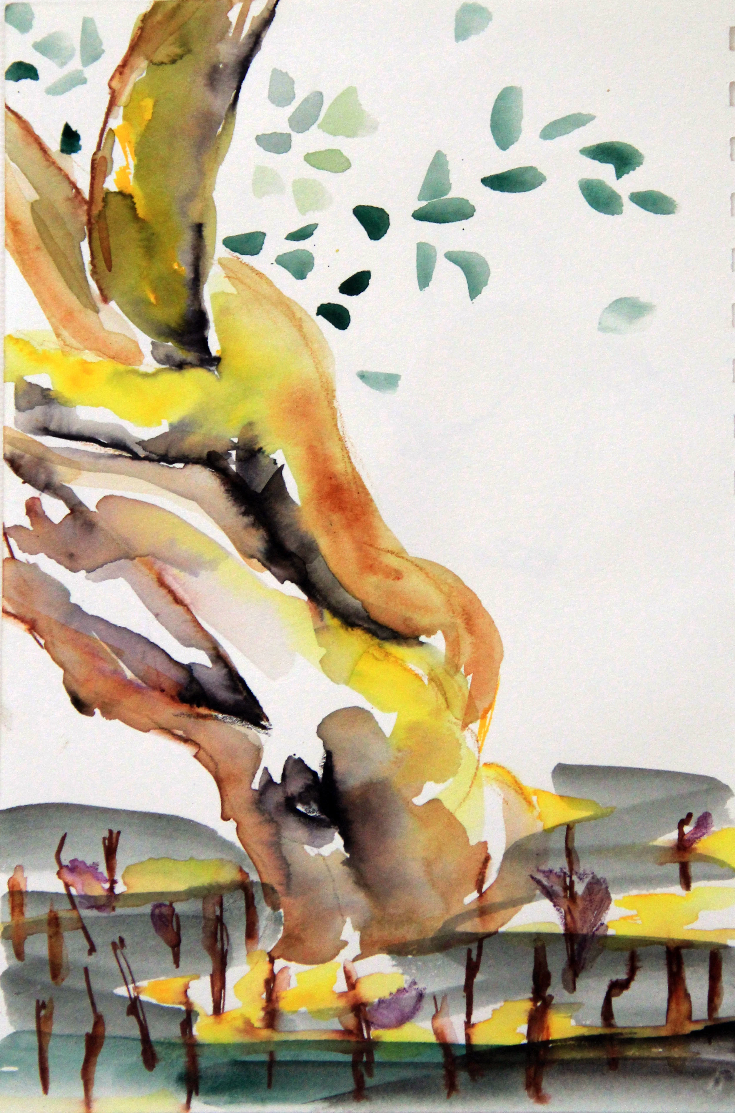 Mangroves_From_The_Water_69_Zahidah_Zeytoun_Showcase.jpg.jpg