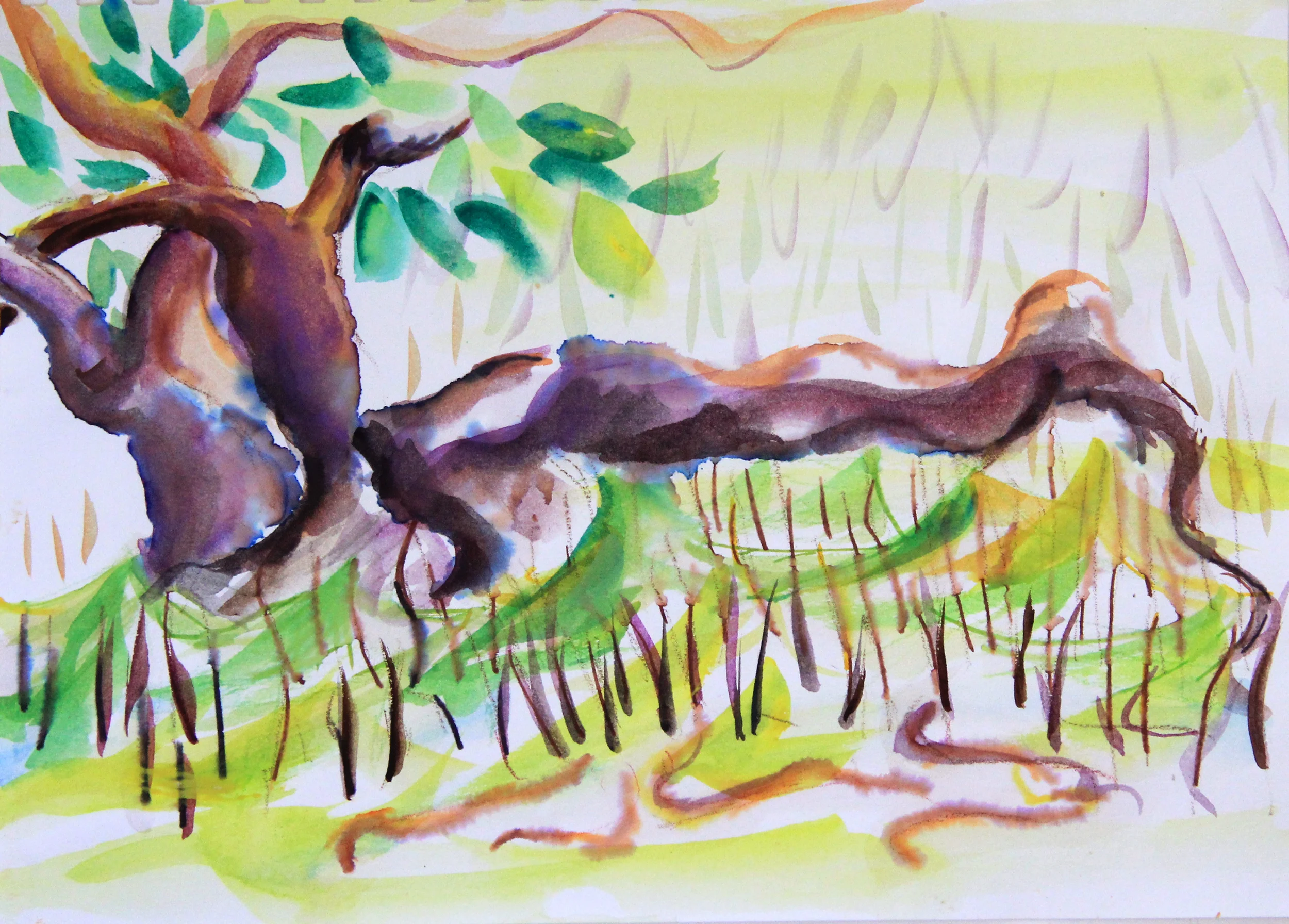 Mangroves_From_The_Water_80_Zahidah_Zeytoun_Showcase.jpg.jpg
