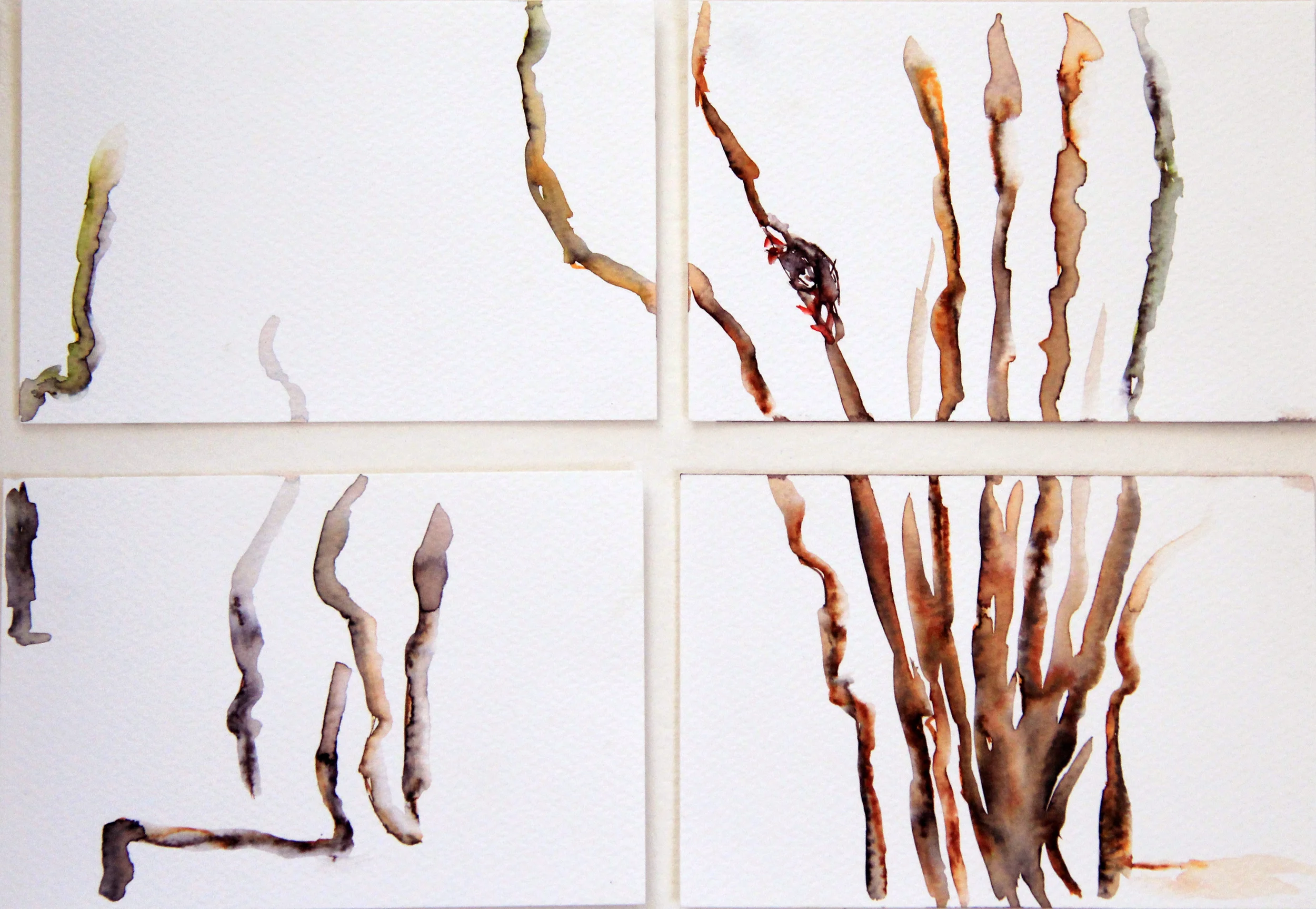 Mangroves_From_The_Water_110_Zahidah_Zeytoun_Showcase.jpg.jpg