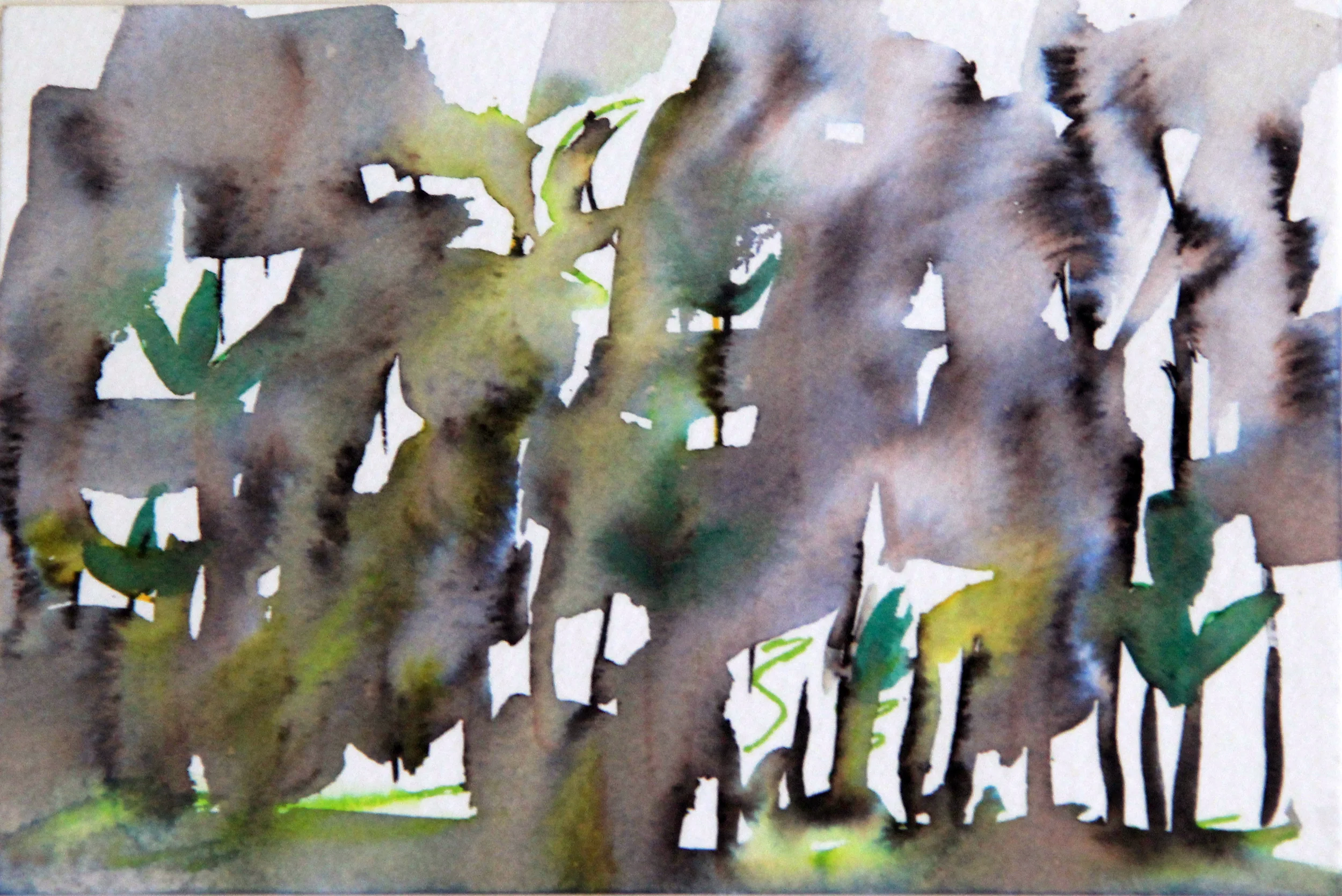 Mangroves_From_The_Water_148_Zahidah_Zeytoun_Showcase.jpg.jpg
