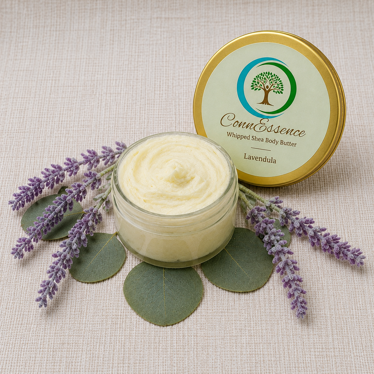 Lavendula
