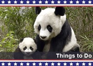 2016thingstodo.png
