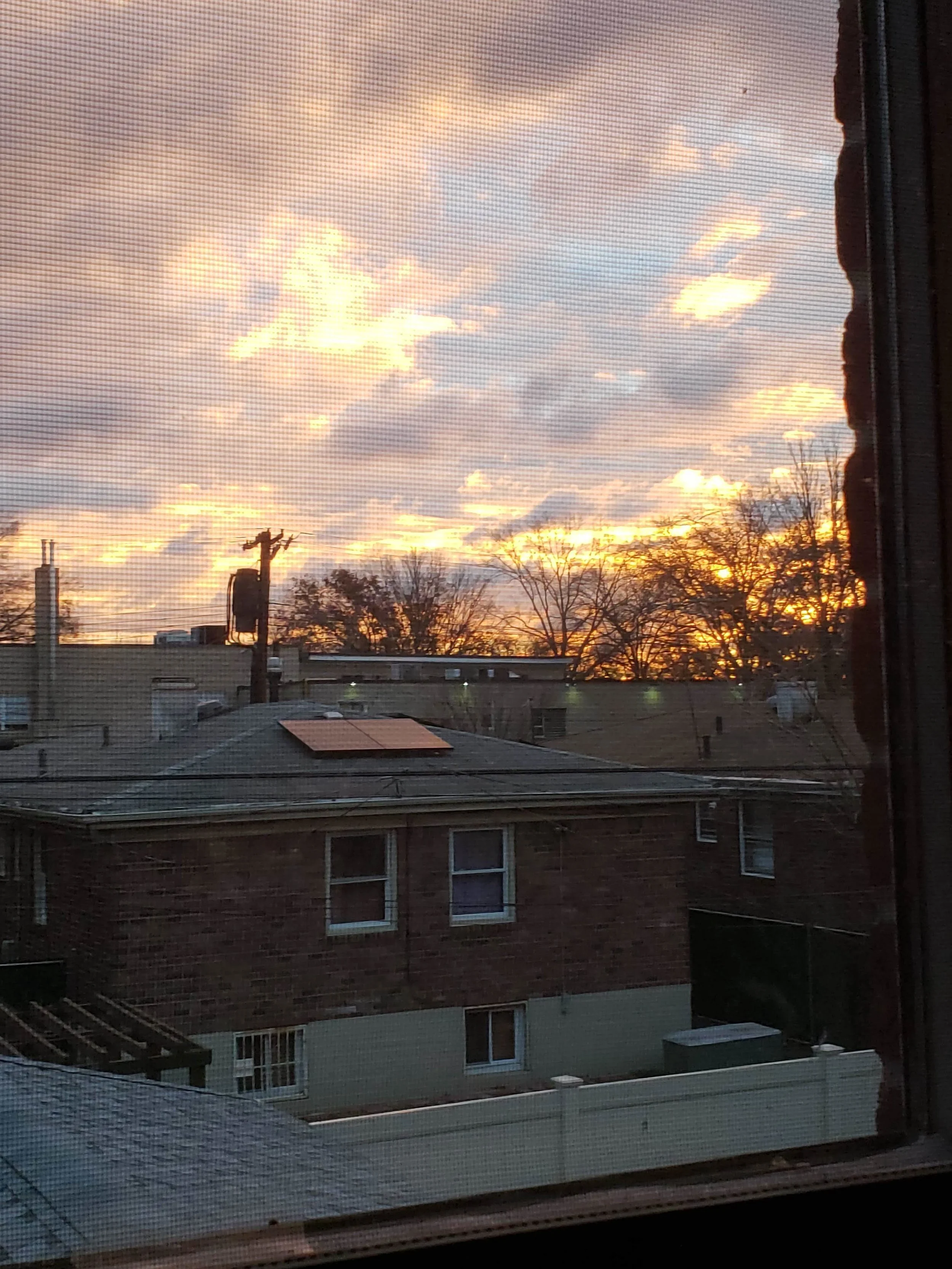 20181127_070139.jpg