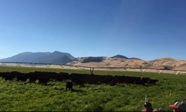 Tour of LaCense Montana Ranch south of Dillon to illustrate the benefits of management intensive rotational grazing.