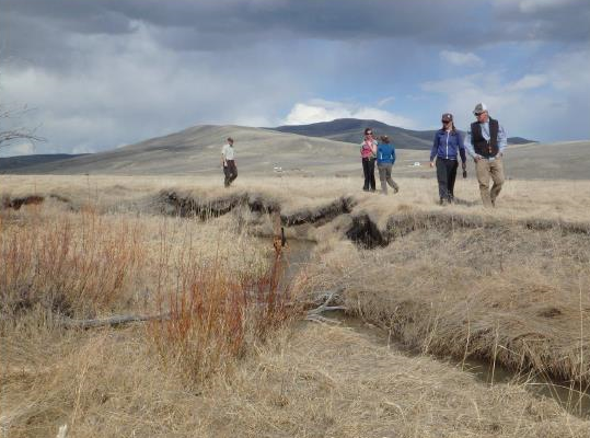 The Nature Conservancy and its partners survey an incised stream before installing beaver mimicry structures. 