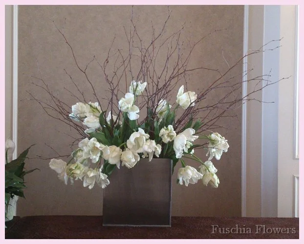 parrot tulip cascade.jpg