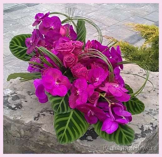 pink vanda orchid.jpg