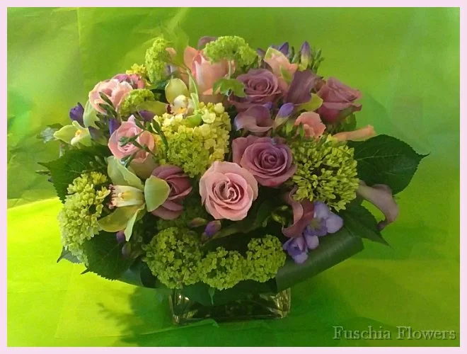 purple and green.jpg